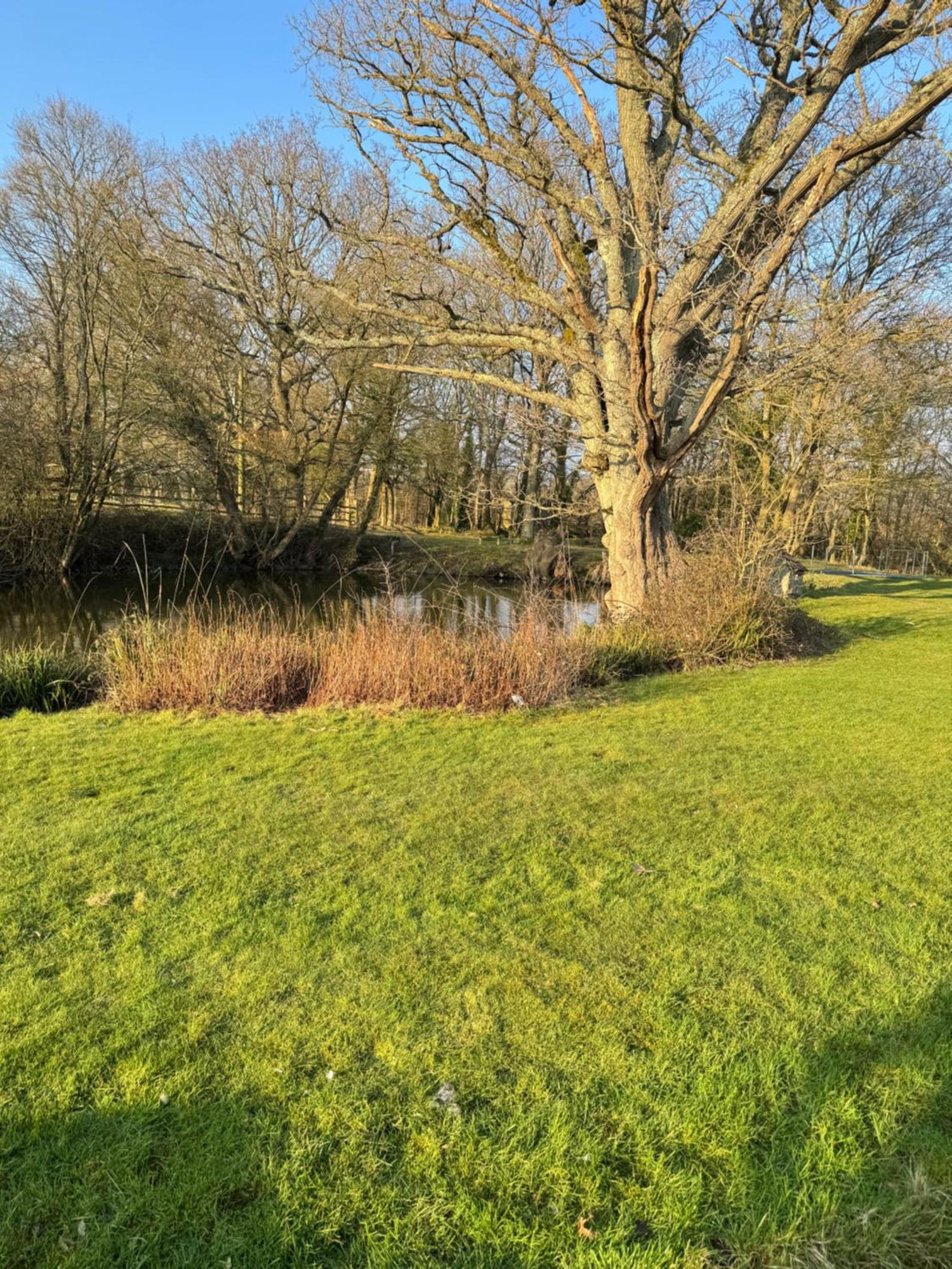 Apartamento Waters Edge Rolvenden Exterior foto